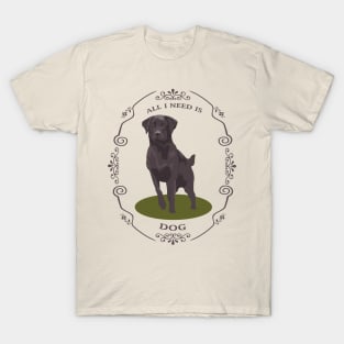 All I need is dog brown T-Shirt